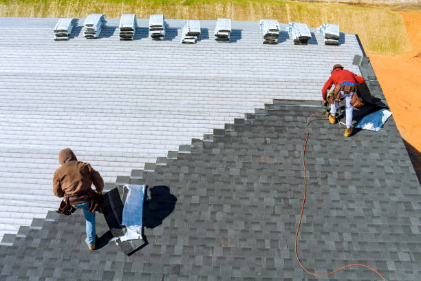 Best Roof Gutter Cleaning  in Franklin, WI